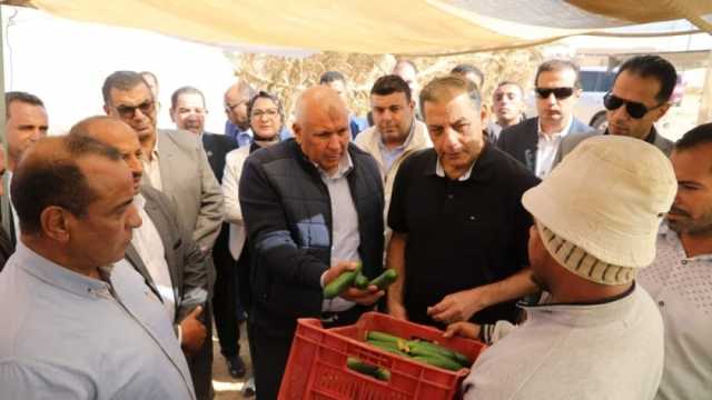 مستشار رئيس الجمهورية يتابع حصاد إنتاج 22 صوبة زراعية في الوادي الجديد