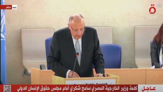 شكري: مصر تسير بخطى ثابتة لتعزيز وحماية حقوق الإنسان بمفهومها الشامل