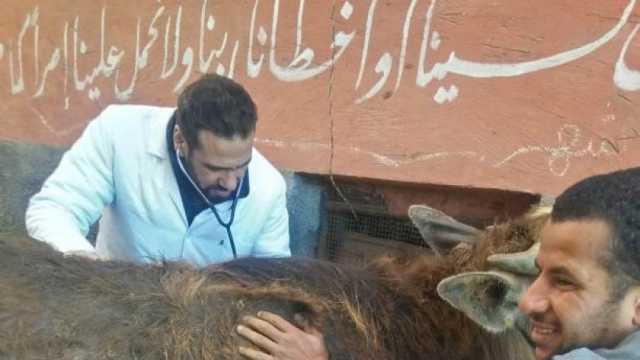 ندوات إرشادية لزيادة وعي المربيين بأهمية التأمين على الماشية في الشرقية
