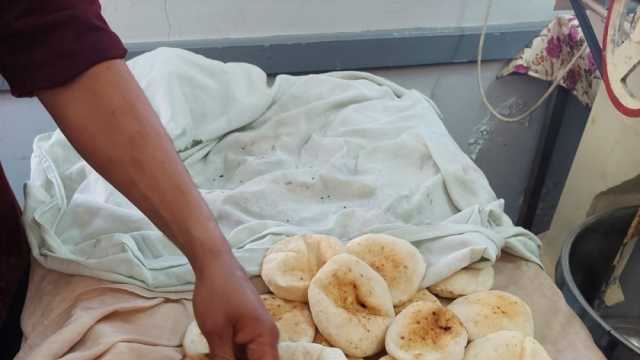 محافظة أسوان تشن حملات للرقابة على أوزان وأسعار الخبز السياحي