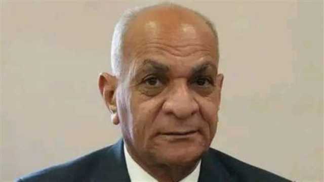 رئيس حزب الريادة: مصر استطاعت التصدي لمخططات «الفوضى الخلاقة»