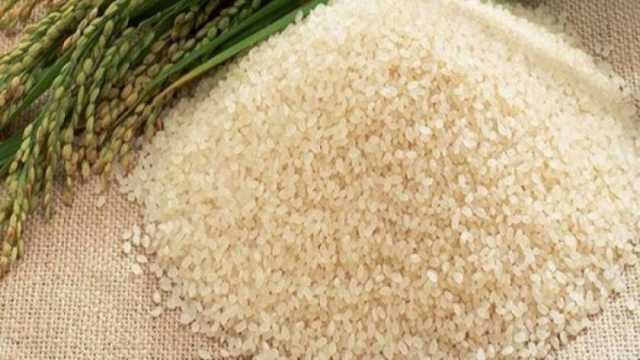 سعر طن الأرز الشعير اليوم الجمعة 8-11-2024 في الأسواق