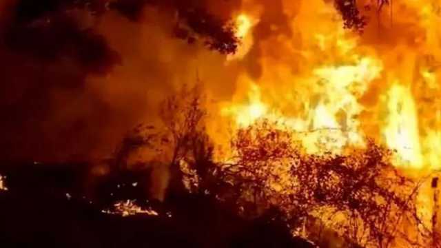 حرائق الغابات تقتل 51 شخصا في تشيلي وتهدد المناطق الحضرية.. أسوأ كارثة منذ زلزال 2010