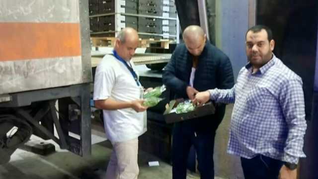 وزير الزراعة يؤكد العمل بكامل طاقة الحجر الزراعي لاستقبال كل الشحنات المصدرة