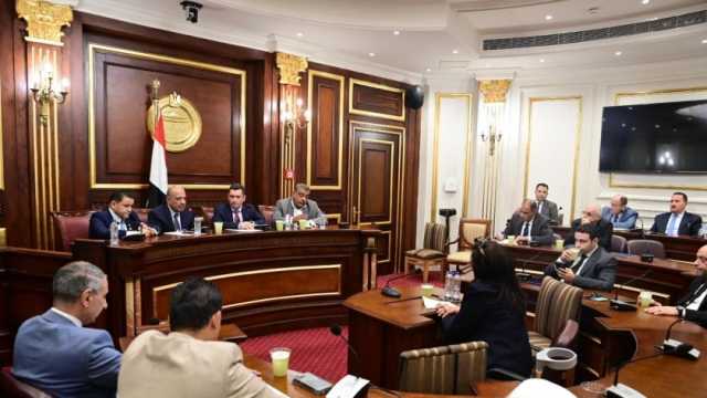 النائب معتز محمود يطلب الالتزام بوثيقة ملكية الدولة