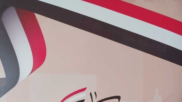 عضو التحالف الوطني يطالب البرلمان الأوروبي بوقف التدخل في شؤون مصر الداخلية