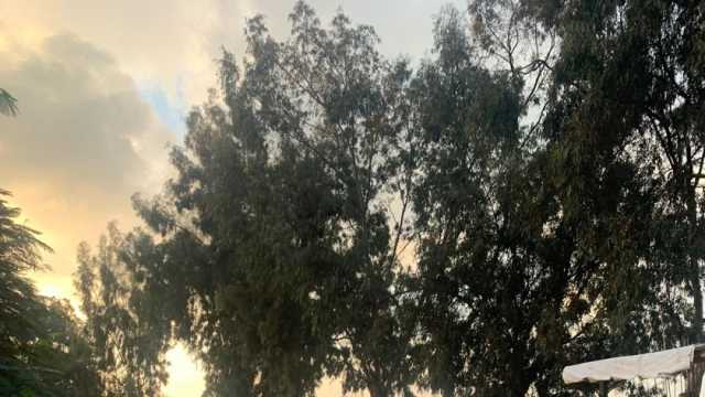 محافظ الدقهلية يرفع حالة الطوارئ استعدادا لاحتفالات عيد الميلاد المجيد