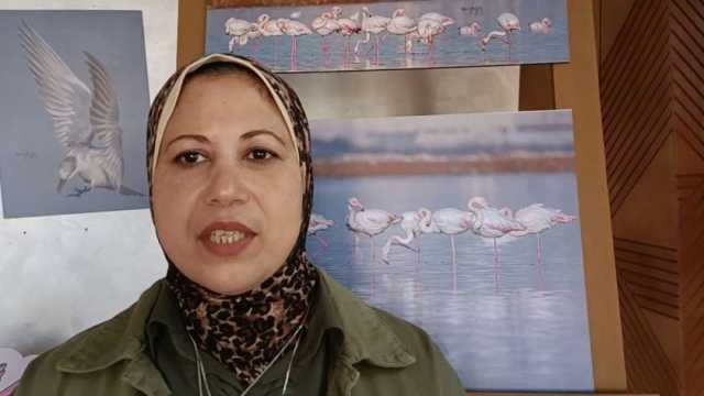 أستاذ بجامعة بورسعيد: يجب تعميم سياحة مراقبة الطيور في المحافظة