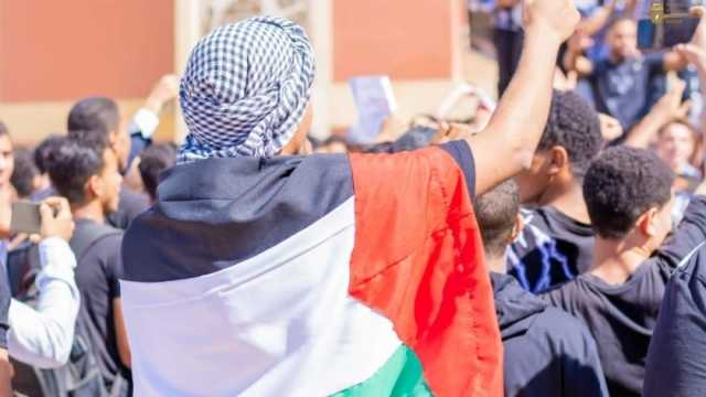 باحث: تغيير موقف المجر من القضية الفلسطينية من ثمار التواصل المصري والعربي