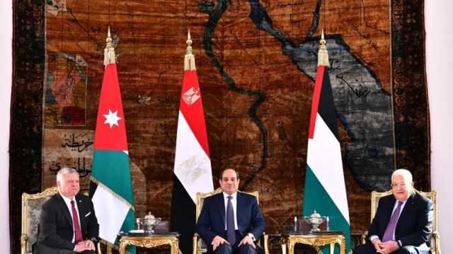أستاذ علوم سياسية بجامعة القدس: قمة القاهرة ستحرك العالم لوقف العدوان على غزة