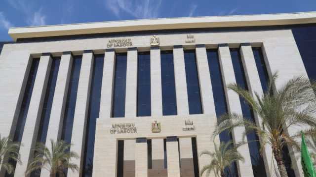 وزارة العمل تعلن توافر 155 وظيفة للشباب في بورسعيد.. اعرف الشروط