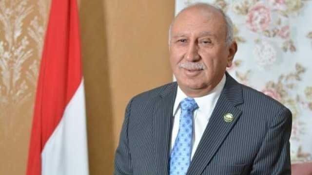 «برلماني»: ثورة 30 يونيو وضعت أسس الدولة المدنية الحديثة
