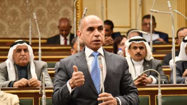 أمين لجنة الدفاع في «النواب» يوضح أسباب تعديل رسوم جواز السفر