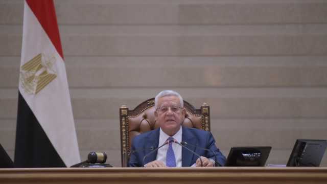 رئيس مجلس النواب: جهود لجنة دراسة برنامج الحكومة نموذج للعمل بروح الفريق