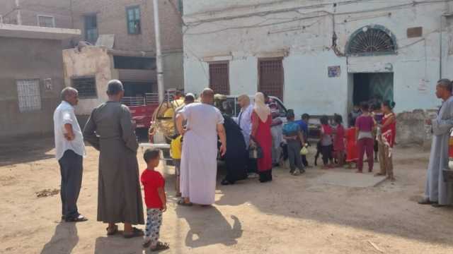 علاج 567 رأس ماشية في قافلة بيطرية مجانية بقرية المنيرة بقنا