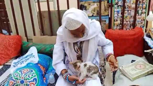 «بكري» مسن وهب حياته للقطط في الأقصر: «أعيش لأطعمهم.. والقرآن بيجمعهم»