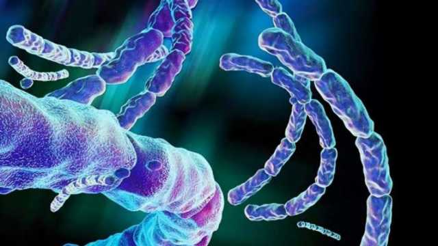 بعد انتشاره في 5 دول أفريقية.. أعراض مرض قاتل حذرت الصحة العالمية من تفشيه