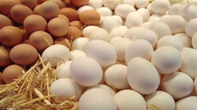أسعار البيض اليوم 15-8-2023 في الأسواق
