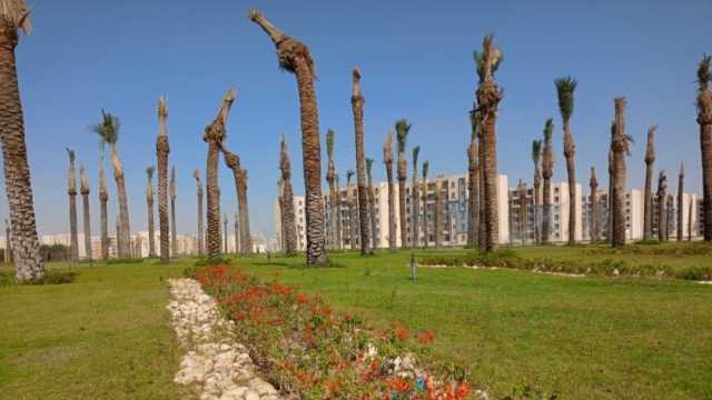 جهاز مدينة العاشر من رمضان يطرح أحواشا زراعية للبيع بالمزاد العلني