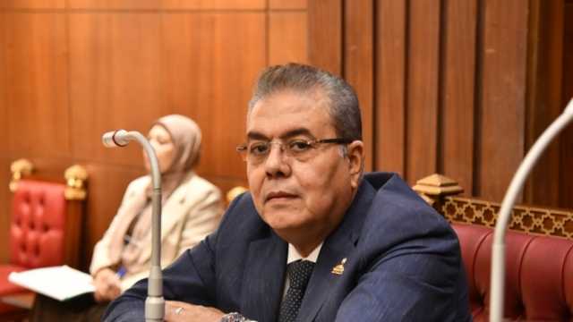 عضو بـ«الشيوخ» عن لقاء السيسي مع وفد الكونجرس الأمريكي: يعزز الاستقرار