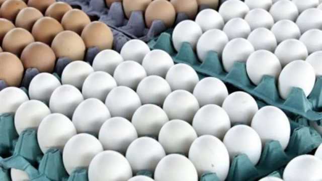 أسعار البيض اليوم السبت 23-9-2023.. كرتونة الأحمر بـ127 جنيها
