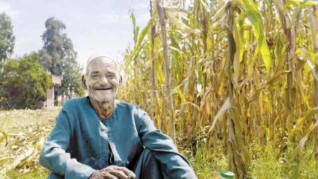 صناع السعادة في حياة المصريين