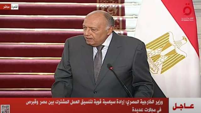 شكري: مصر وقبرص تؤكدان ضرورة الوقف الفوري لإطلاق النار في غزة