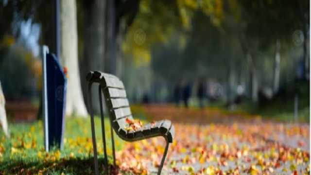 لماذا تزداد الرغبة في النوم عند التعرض للشمس؟.. سبب مرتبط بعلاج الاكتئاب