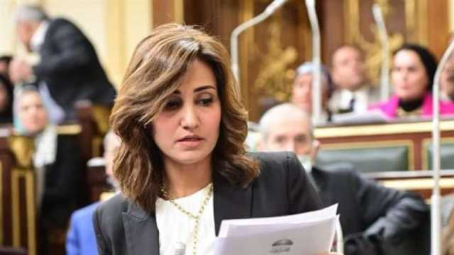 النائبة رغدة نجاتي: عدد للمشاركين في الانتخابات الرئاسية يكشف وعي المصريين
