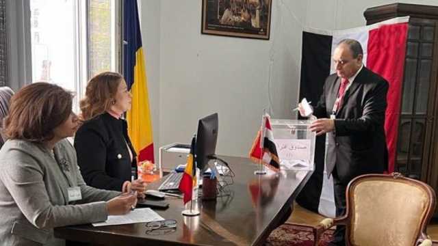 «حملات المرشحين»: الإقبال جيد ونتوقع زيادته.. والأطفال والشباب يتصدرون المشهد