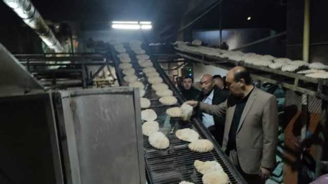 تحرير 46 محضرا لمخابز مخالفة في حملات تموينية بالدقهلية