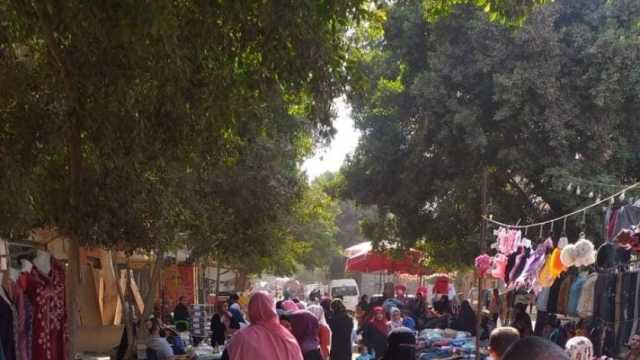 «مستقبل وطن» بالحوامدية يفتتح «شادر» لتوفير المستلزمات والسلع الغذائية