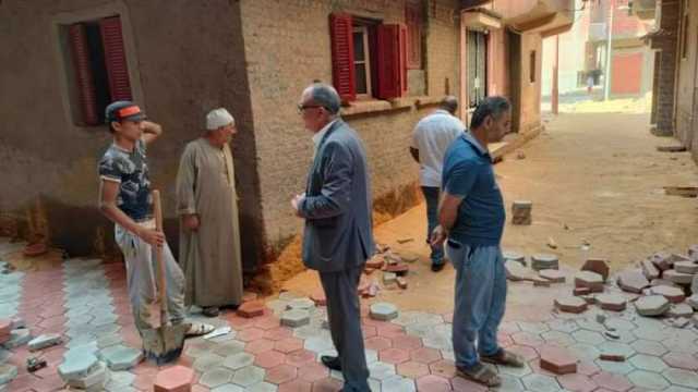 رفع كفاءة وتركيب «إنترلوك» بشوارع المحمودية في البحيرة
