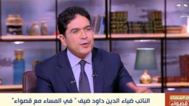 ضياء الدين داوود: نحتاج تحقيق مزيد من الديمقراطية والحريات بجانب ما أنجز