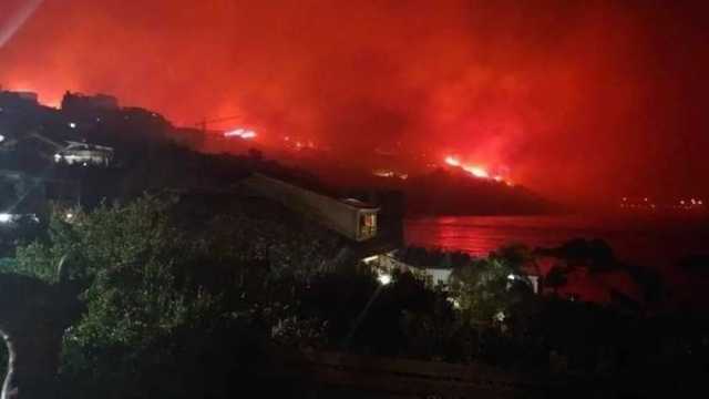 حرائق غابات الجزائر تشتعل مجددًا.. إخلاء مناطق مأهولة بالسكان (فيديو)