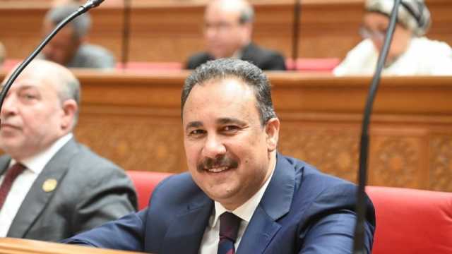 عضو بـ«النواب» يشيد بدور مصر الريادي في دعم لبنان والأشقاء العرب