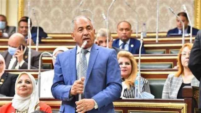 إشادات برلمانية بكلمة الرئيس السيسي في يوم الشهيد: بعثت برسالة طمأنة