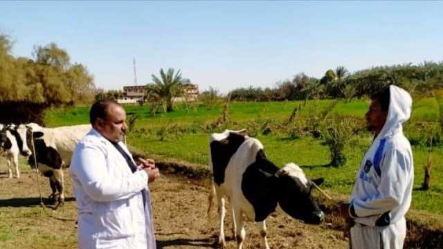 انطلاق الحملة القومية الثالثة في 2023 لمقاومة الحمى القلاعية بالدقهلية