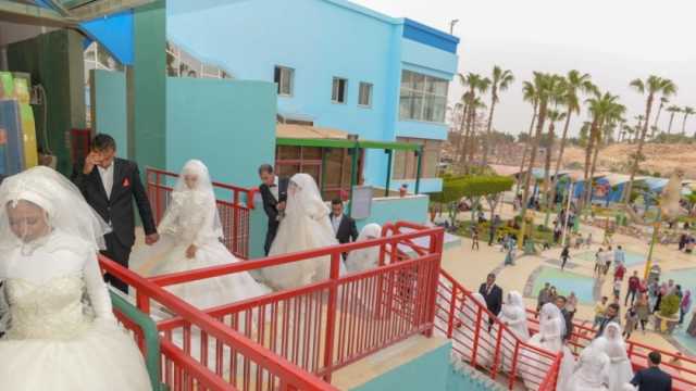 دعم زواج 771 فتاة يتيمة بكفرالشيخ ضمن مبادرة «خير بالتقسيط»