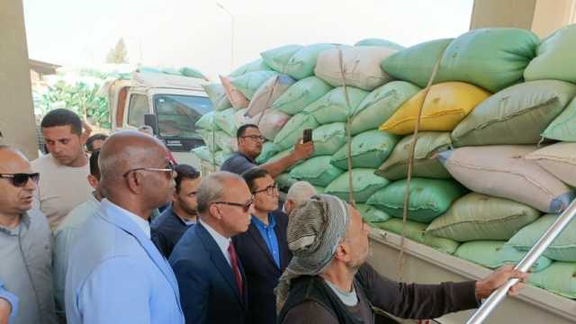 محافظ القليوبية: صوامع القمح استقبلت 195 ألفا و740 طنا هذا الموسم