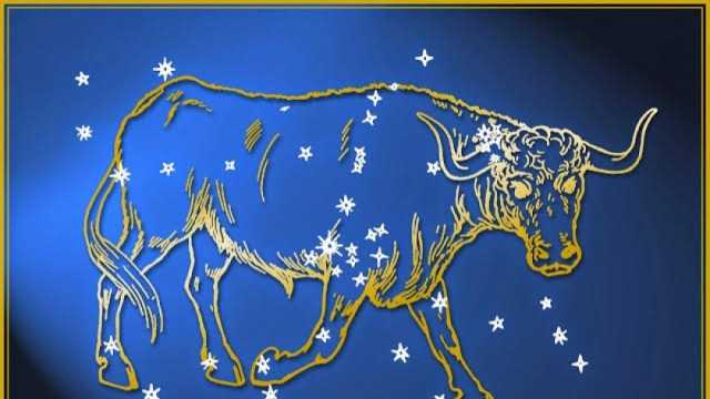 حظك اليوم برج الثور الجمعة 6-10-2023 مهنيا وعاطفيا