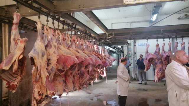أماكن المجازر المجانية لذبح الأضاحي في المحافظات.. وفر فلوسك