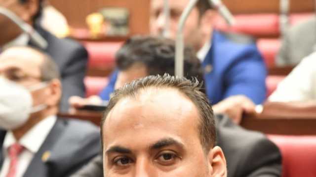 برلماني: مصر لن تقبل بسياسة التهجير القسري ضد الشعب الفلسطيني