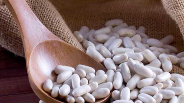 نقيب الفلاحين: انخفاض كبير في أسعار الفاصوليا قبل شهر رمضان