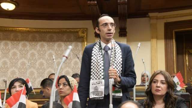 قاعة «النواب» تمتلئ بالعلم المصري والشال الفلسطيني