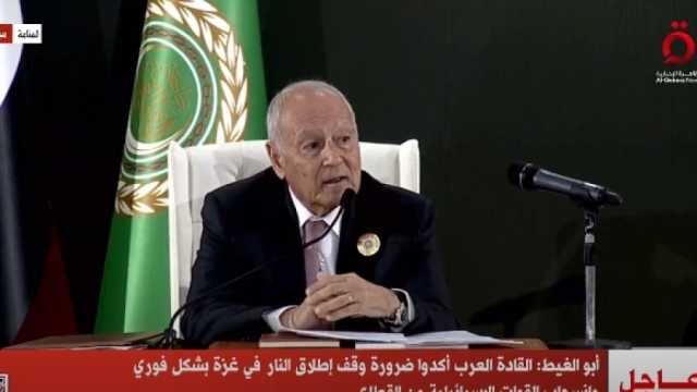 الجامعة العربية تطالب مجلس الأمن بمؤتمر دولي وعملية سياسية لحل قضية فلسطين