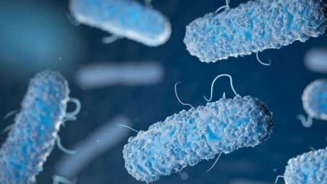 ما هي بكتيريا الإيكولاي وكيف تنتقل بين البشر؟.. قد تؤدي إلى الوفاة