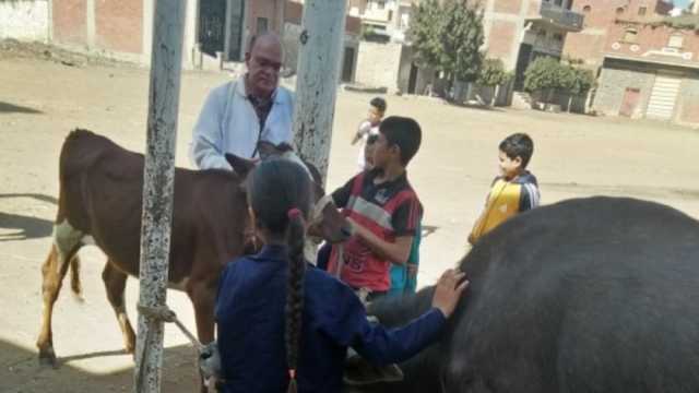 «بيطري المنيا»: تنظيم 4 قوافل مجانية لفحص الماشية ضمن «حياة كريمة»