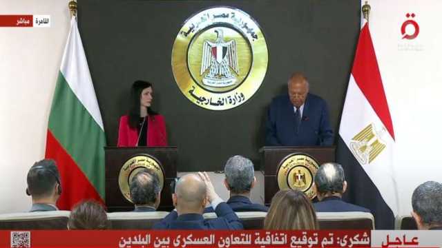 شكري: مصر وبلغاريا حريصان على إرساء منظومة السلم والأمن الدوليين