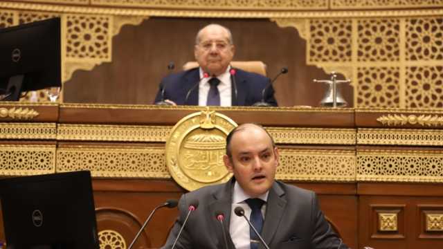 وزير الصناعة: زيادة المكاتب التجارية بإفريقيا خلال 2023 لتعزيز التعاون والمشاركة
